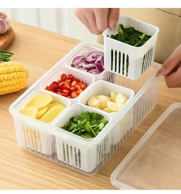 Plastic Freezer Storage Boxes